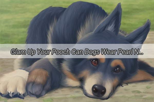 Glam Up Your Pooch Can Dogs Wear Pearl Necklaces A Stylish Dive into Canine Fashion